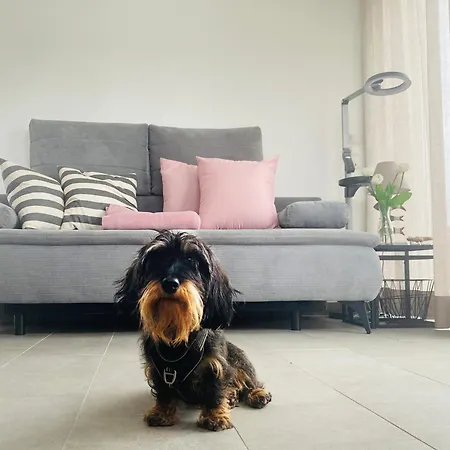 Дом отдыха Elseblick Шютторф