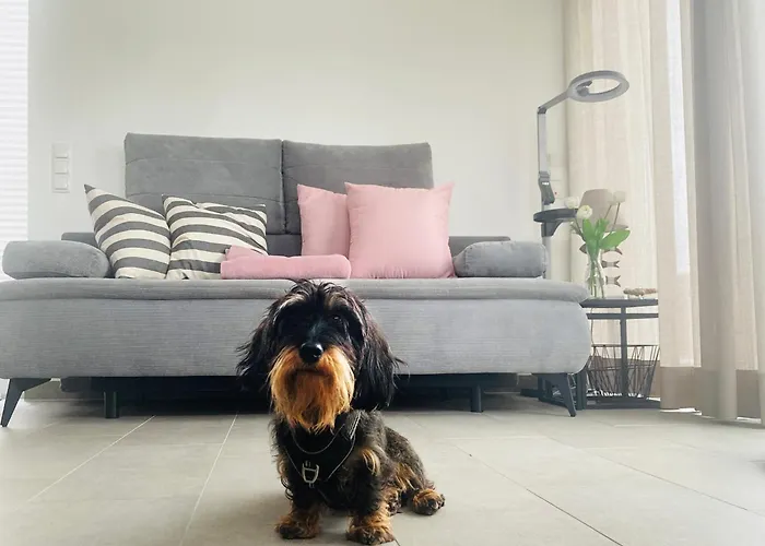 Dom wakacyjny Elseblick Schuettorf